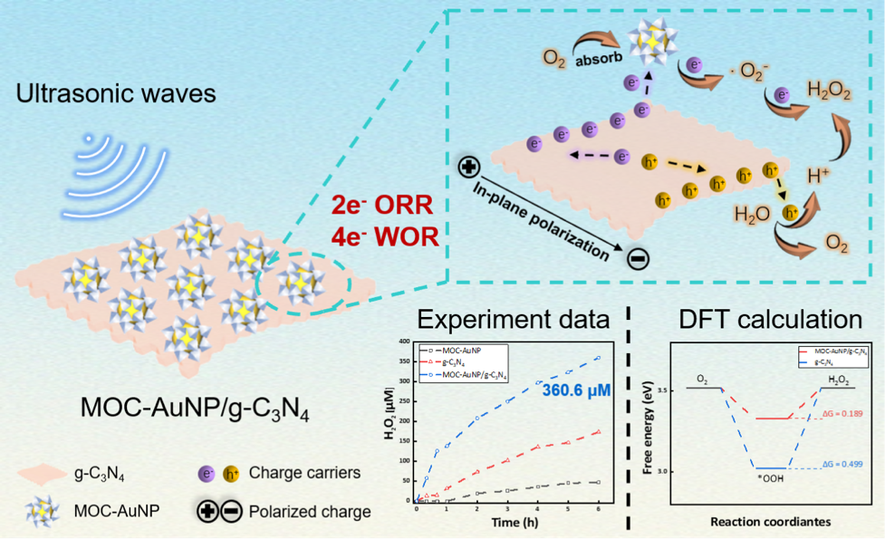 DBA1018EA0DC1C2C92378BC6972_8EA14245_FD87E