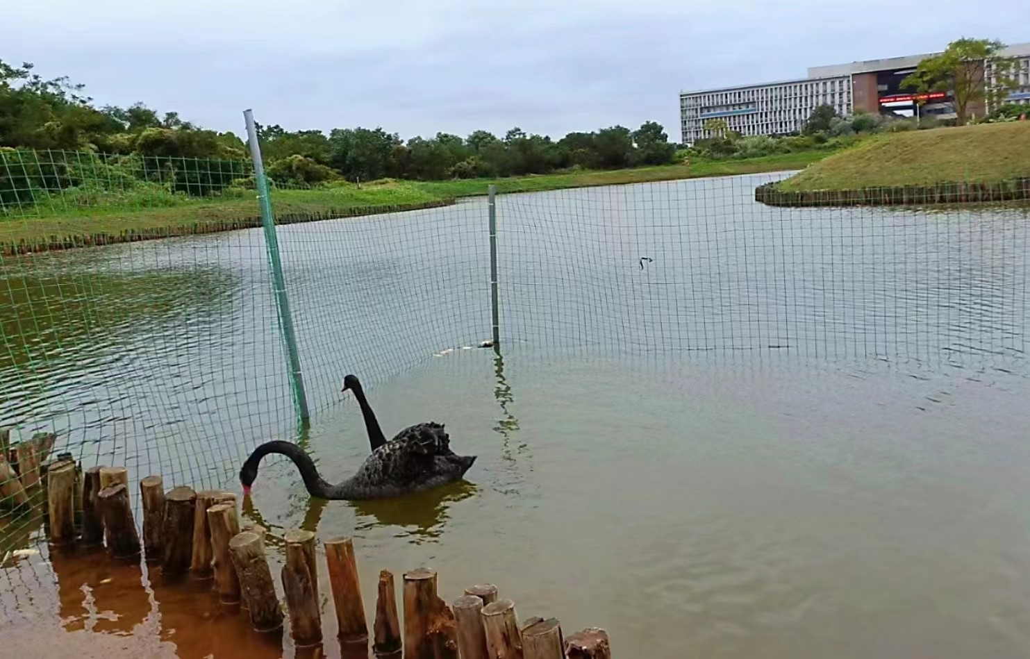 1B84D2D31E43A46AD8EBF2D73F6_5EFBC4FD_4361E