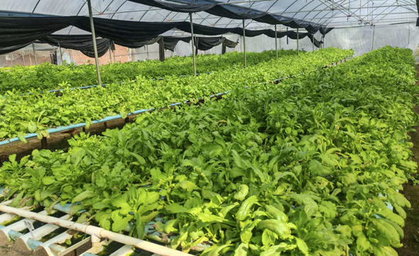 A0EC6DB85653D2EE0D6C6B5F83F_1FBB24AF_7E3B9