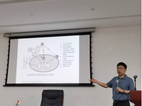 5551B75BB43168ED23E4E80D73F_2FB26AF9_3C6DF