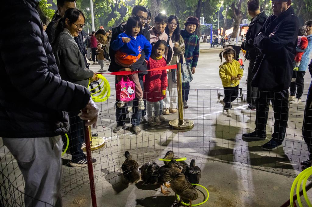 02E5843634CB5B205611B478B92_C4AAB29E_20F4F