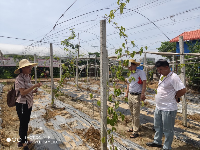 Ò¼ºÅÓéÀÖapp¹ÙÍø(Öйú)¹Ù·½°æÏÂÔØ