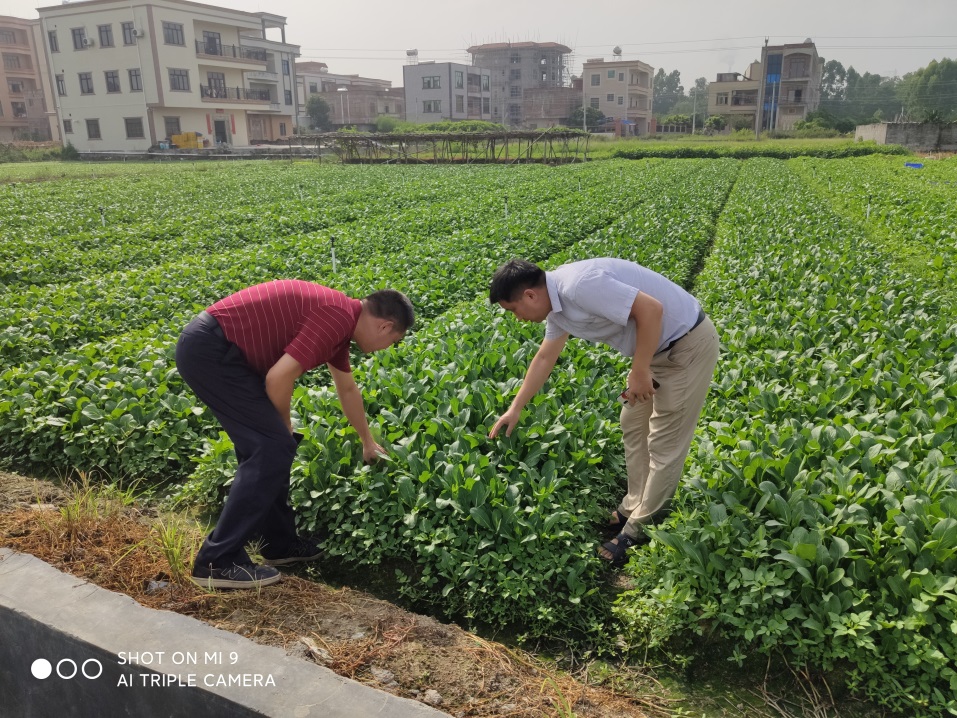 Ò¼ºÅÓéÀÖapp¹ÙÍø(Öйú)¹Ù·½°æÏÂÔØ