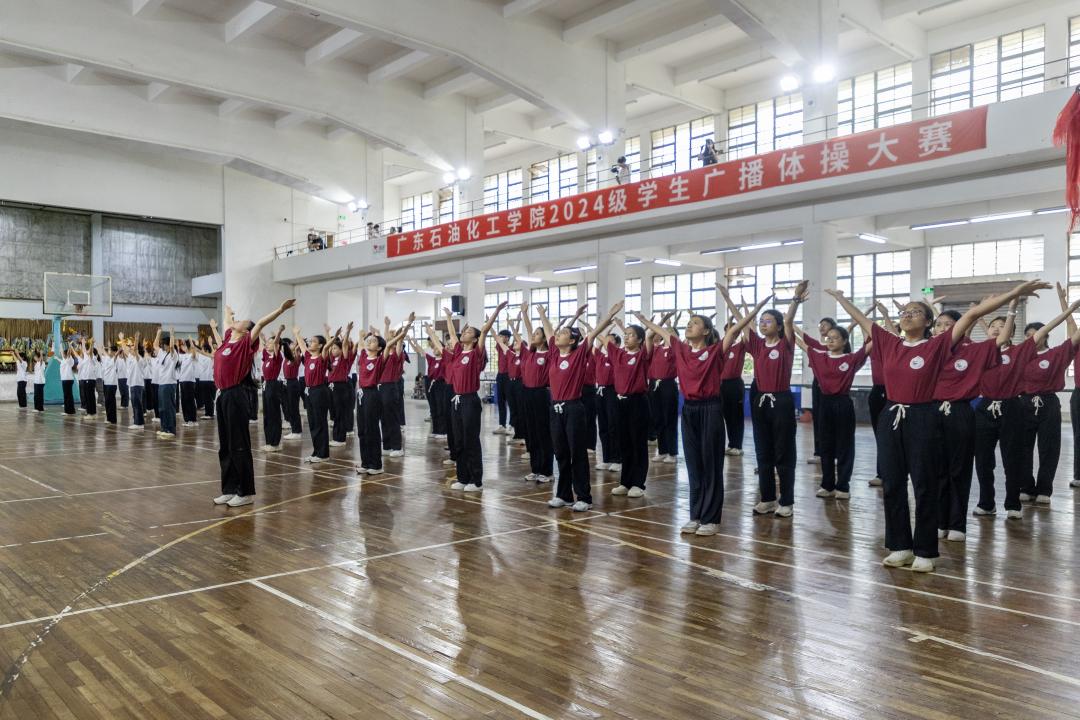 CF4336AC3F2ECE8D4293801FF1E_AC44756D_20CBD