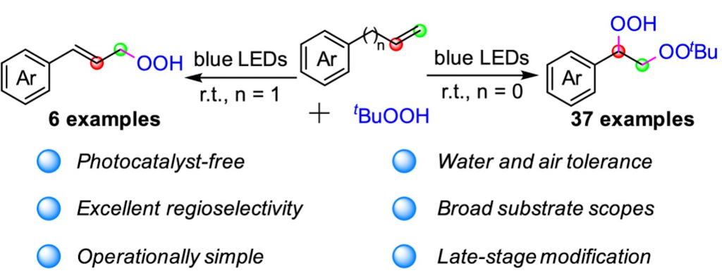 323BB0DD57C052241C7AF4ED539_E5E996D8_B543