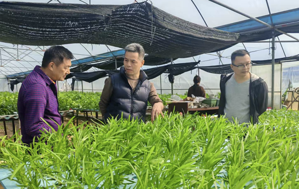 F7A8DD797DD4782BF18732CB15A_86BE459F_77E8C