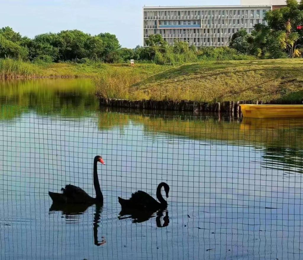 F94789C97B65A67CF357AF42A81_EDFCCA9D_2B504