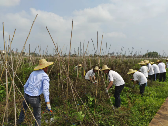 46D5A253B2AE989BEA5B7AA5114_2F1C0F21_7EA05 46D5A253B2AE989BEA5B7AA5114_2F1C0F21_7EA05