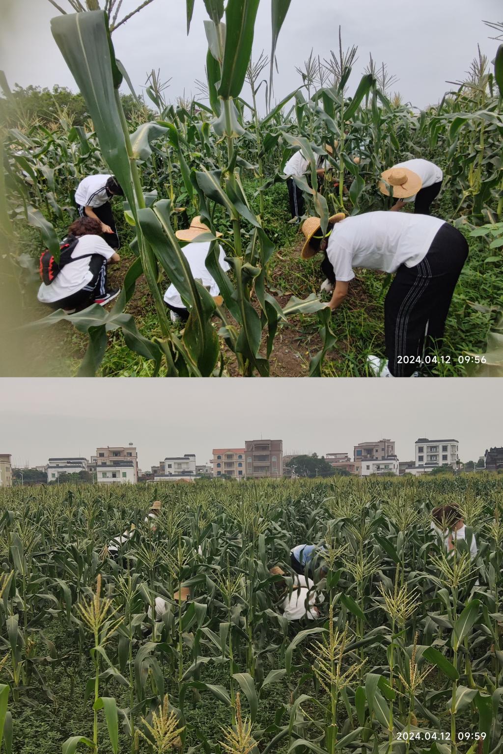 485D2366840B61E470CE139C254_9FEC746D_51841 485D2366840B61E470CE139C254_9FEC746D_51841