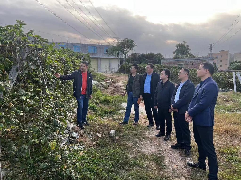 B6261EA37783CDD6A29B663F8EA_3B15263F_2D34A