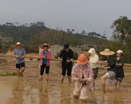 Ҽ������app����(�й�)�ٷ�������