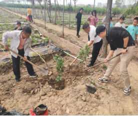 Ҽ������app����(�й�)�ٷ�������