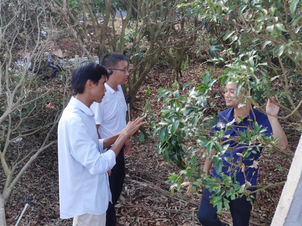 B460B4870BBF0404F8945BC41DA_B6CE62F6_2E704