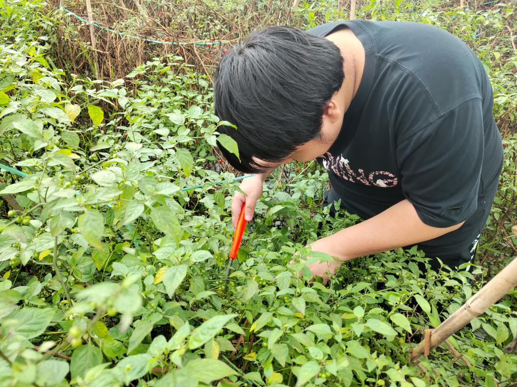 46B8FF2356D23B1311F70D4C401_75D6D751_35882