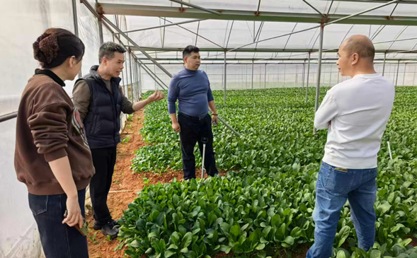 4C1DA3A5D84275B99E335977A7A_38431D46_6EF43