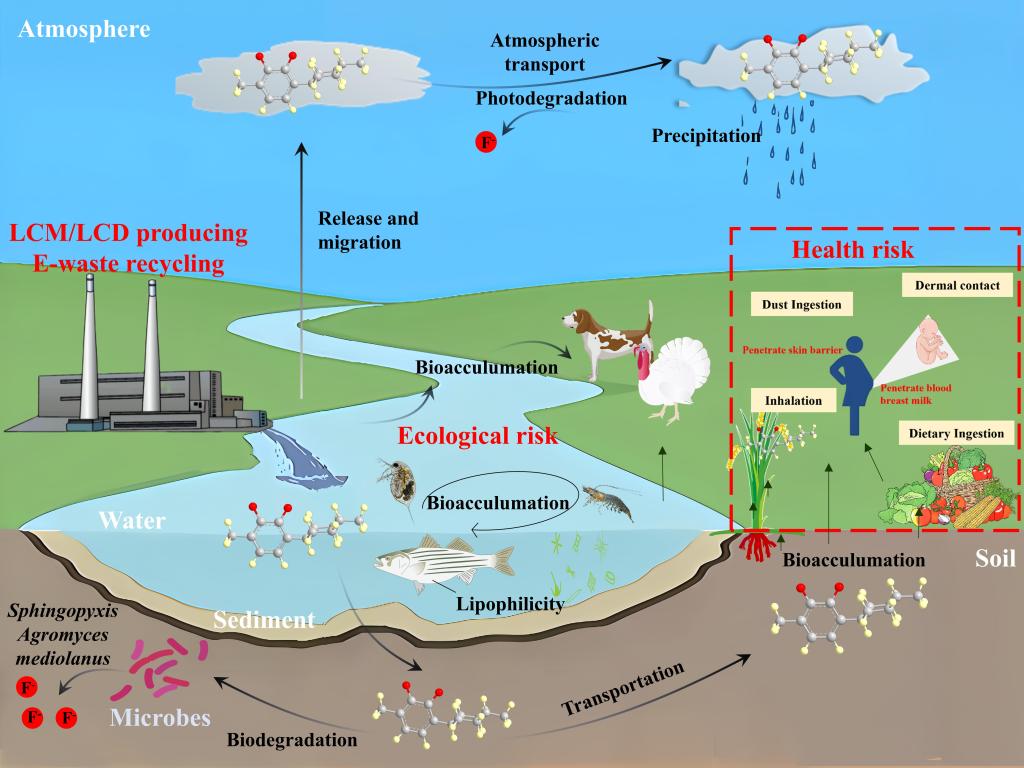 Ҽ������app����(�й�)�ٷ�������