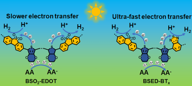 Ò¼ºÅÓéÀÖapp¹ÙÍø(Öйú)¹Ù·½°æÏÂÔØ
