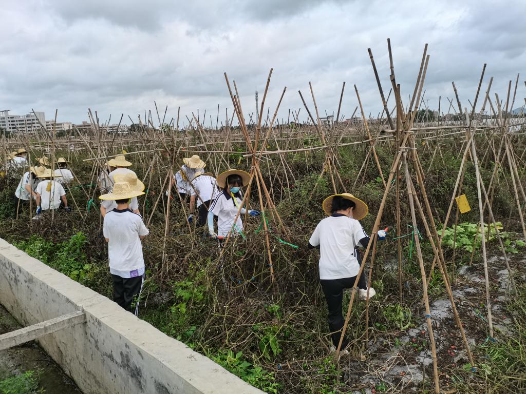 CB3C76AF31A769F04BC6DA3FBDE_400C5556_2E4FD CB3C76AF31A769F04BC6DA3FBDE_400C5556_2E4FD