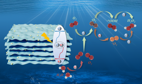 Ҽ������app����(�й�)�ٷ�������