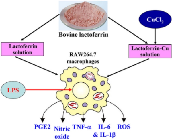 Ҽ������app����(�й�)�ٷ�������