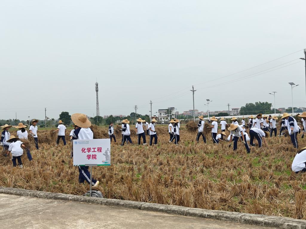 C3FA321FD7F979C20D7FED3FC0B_0E5E9ACA_20876