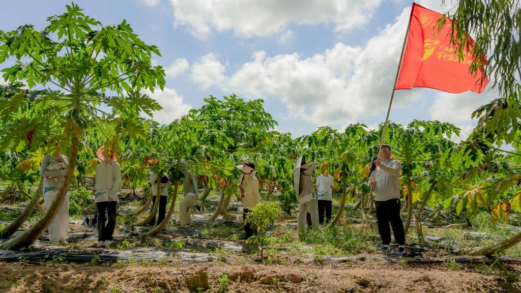 780F737533FA46FE3D30FA0EC72_4E628AAA_26854