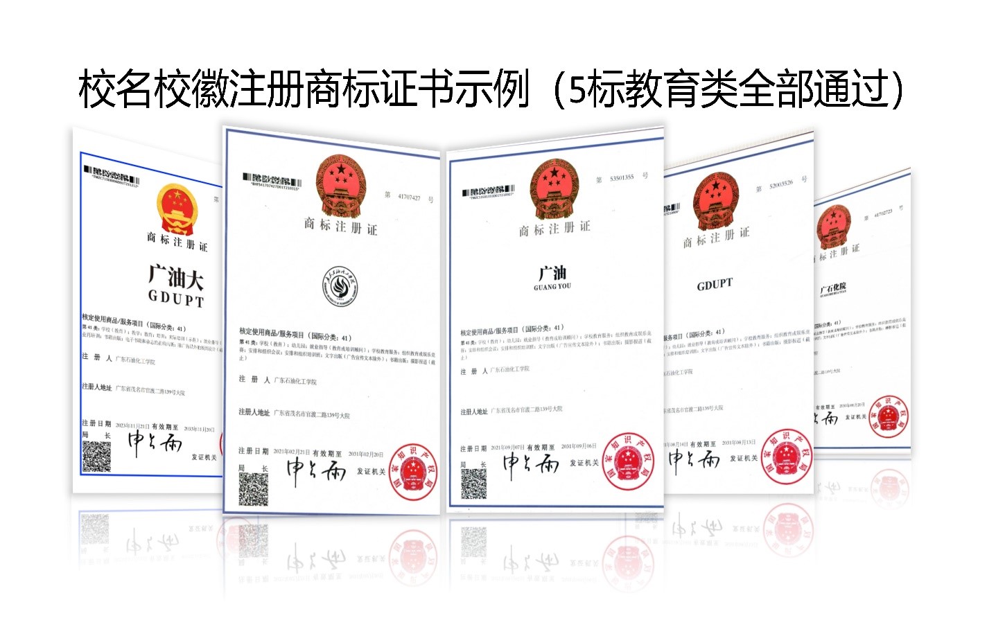 8D2902E34C2C56272C37DDA1295_714D1279_2F2AA