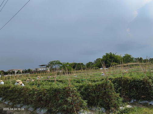 73CCBEBCD6C84ECBE7B7960785A_75CB0156_BA75D 73CCBEBCD6C84ECBE7B7960785A_75CB0156_BA75D