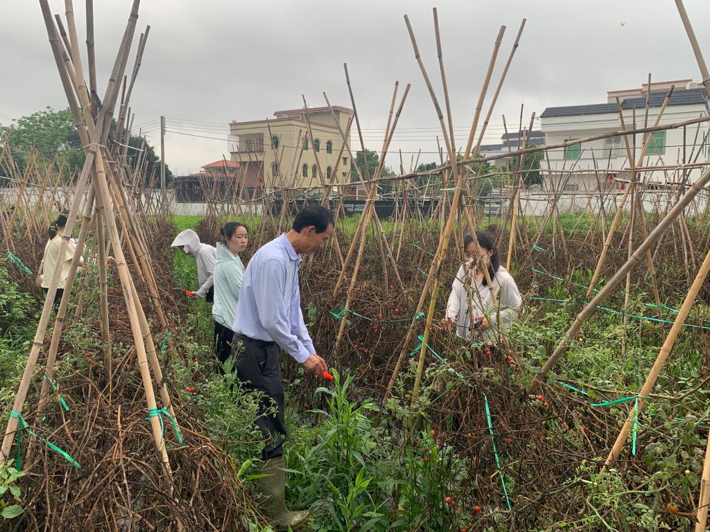 3BF4361845EDE01825D54DA1003_DE624656_3560A