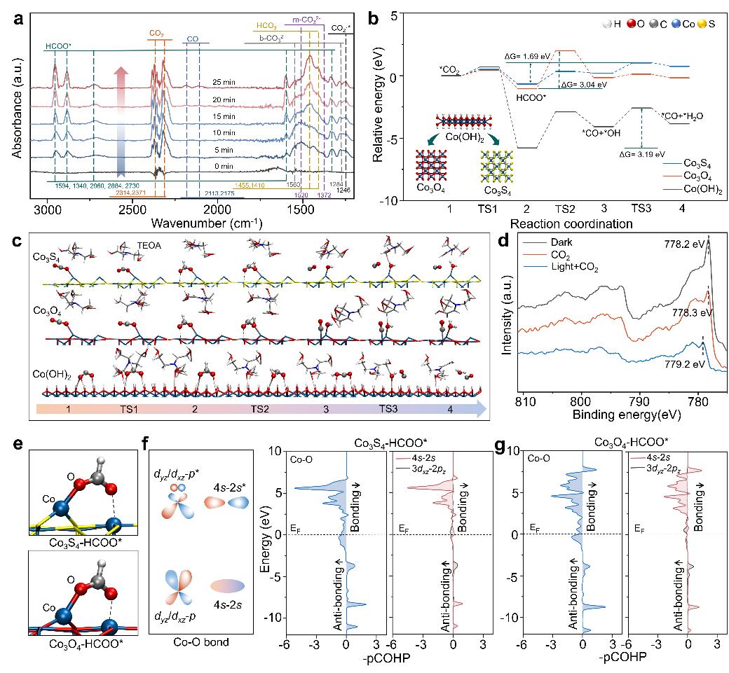 C8C666D2F1B7EF3F9EE07E58903_37C1410A_2F7B7