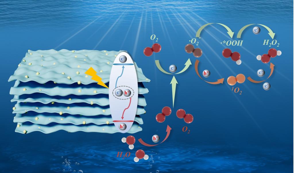 1736EE303D791EC796845D91EA2_05BDD573_10B73