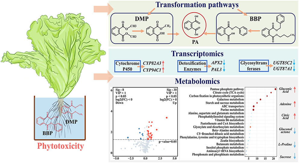 E212BAE83F618683E96A705B519_D6AC6543_2D46C
