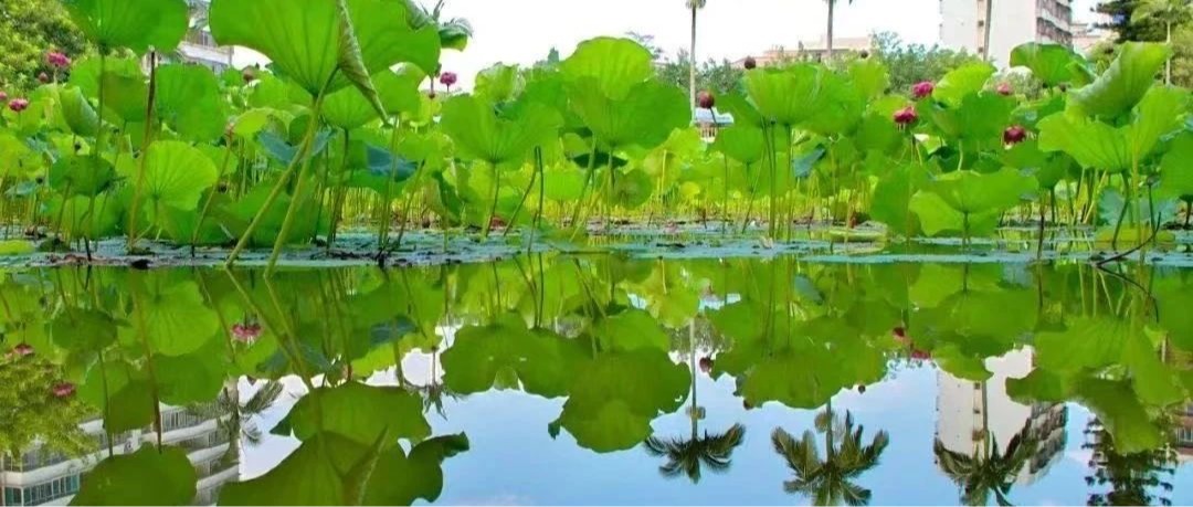 Ҽ������app����(�й�)�ٷ�������