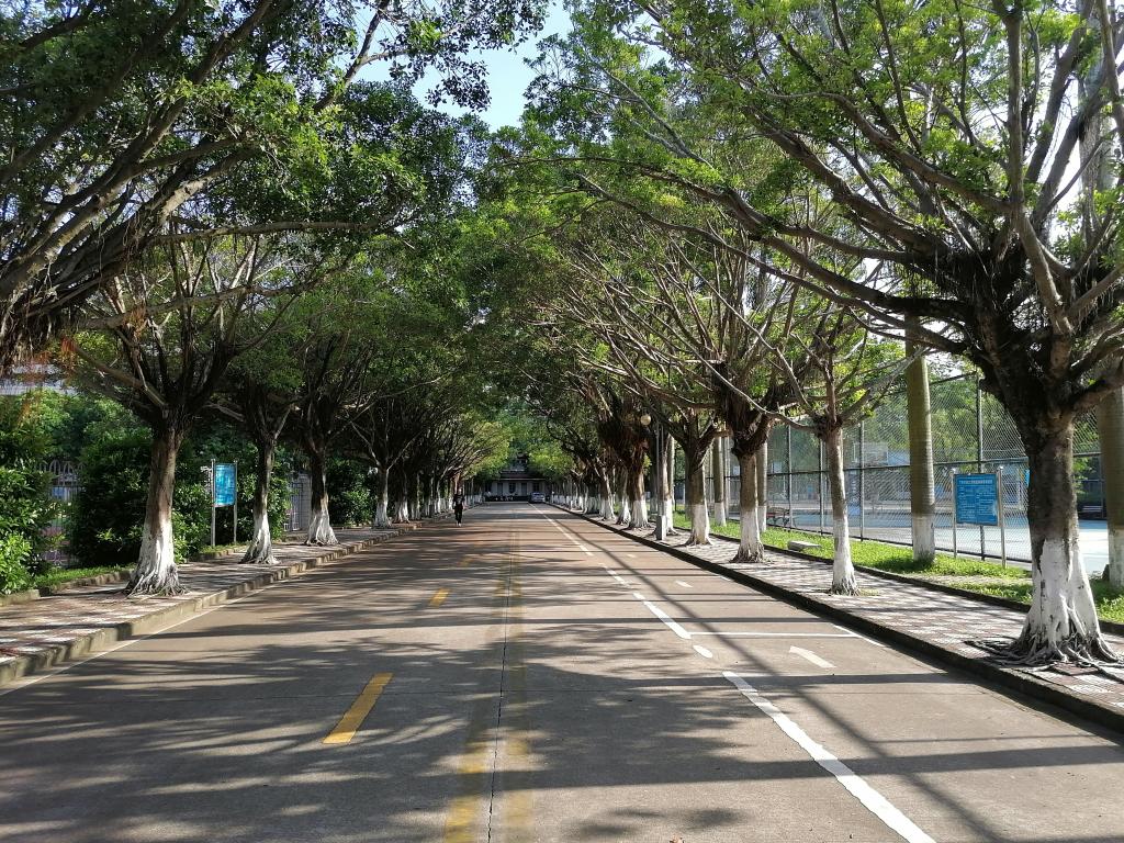 222B13F2D7BD0967F5EAE6E03A1_9B8E1EAF_3C30D