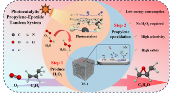 46089A595F4C369A08A22C41D19_4CFFFCF3_1199B