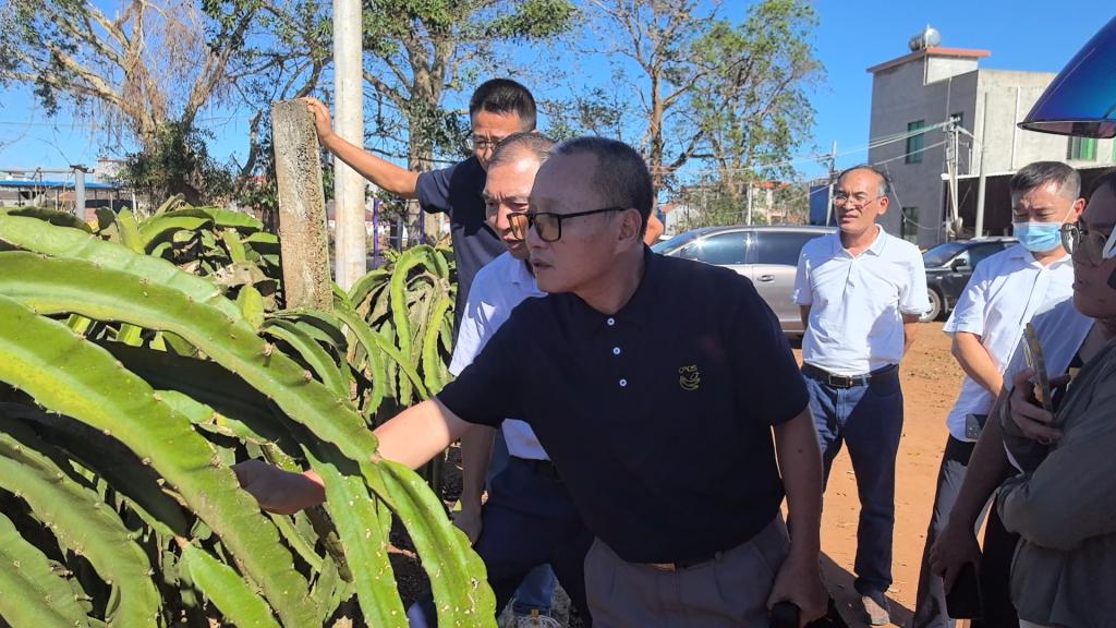 A40F05FC05EEE16F1E6162A30F5_8DB716D7_1D45F