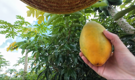 08E266DD245C7459BFD05D659FF_1B98BBE3_B0700 08E266DD245C7459BFD05D659FF_1B98BBE3_B0700