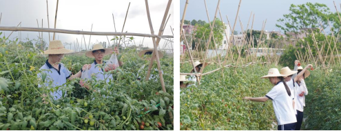 8095C0CB633D8EE775D8EC5045D_66FBD2AA_5C0F2 8095C0CB633D8EE775D8EC5045D_66FBD2AA_5C0F2