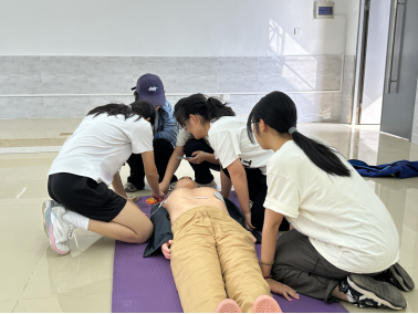 0877F11252DC0159AFD0C312AA6_B4AFA6E2_2969C