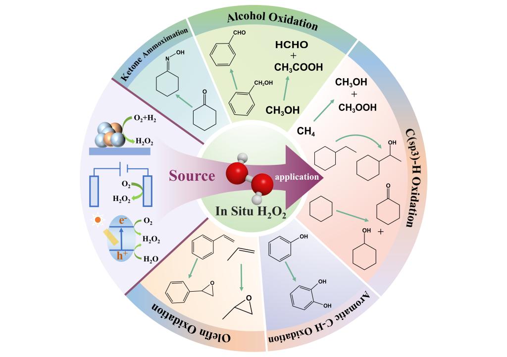 8541EB4AE9EEEE44C9EF6BE09D5_15D6471D_FB33