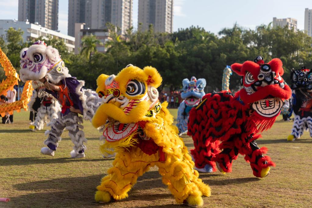 6AC75C8ACCD6643E0D0E301E6CA_940E0AF5_1FCB2