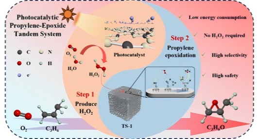 89CD8A806FE125C326899191680_83496D71_B19E 89CD8A806FE125C326899191680_83496D71_B19E