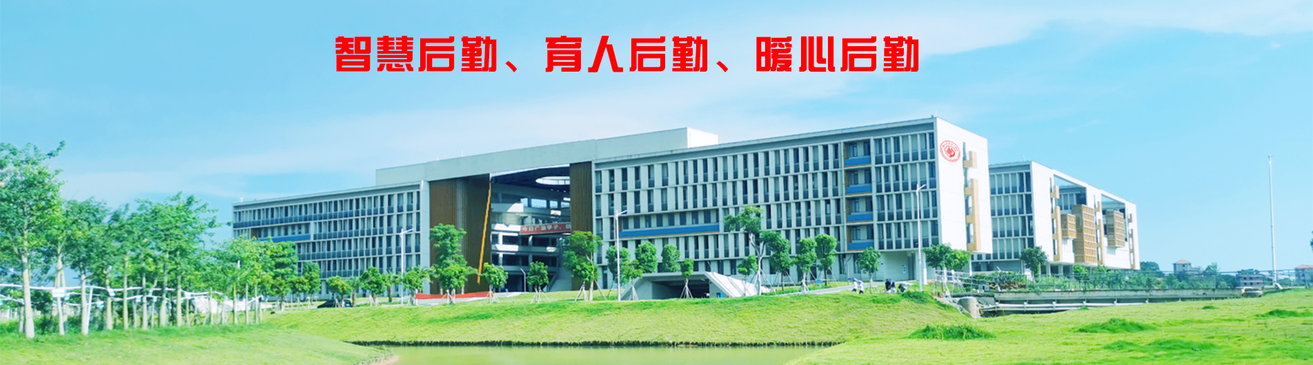 29f712ce5a5aad80825aeb2cc046ab9